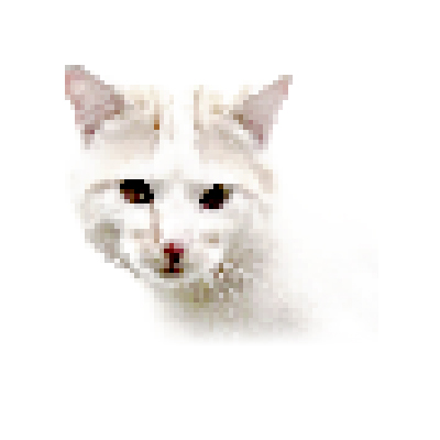 Portrait de chat blanc et roux turc de Van - le cat Nuto en couleur pixelart