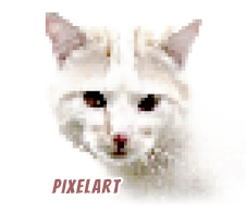 PixelArt dessins et photographies simplifiés en vue d