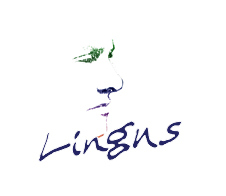 Lingus LogoType en lettrages et typographie sur ombres de visage
