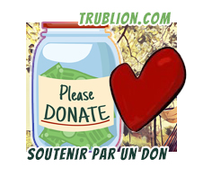 faire un don a m2r trublion donate et aider Marion tourbillon soutenir l Art